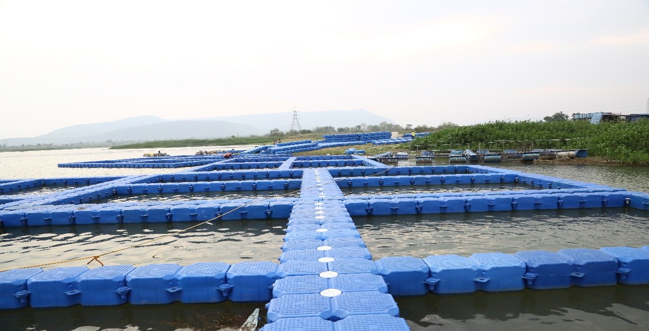 “From Abandoned Mines to Livelihood Lifelines – Fish Farming Revives Hope in Bokaro”